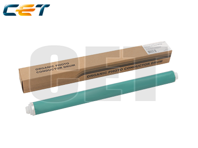 CACE101051
