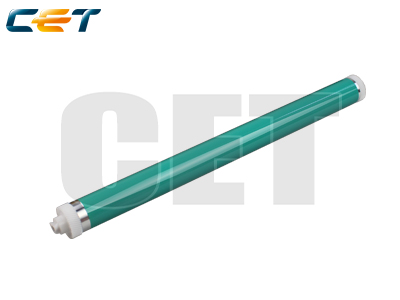 CACE101059
