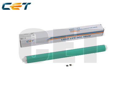 CACE101109