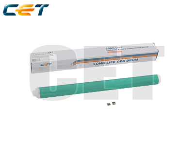 CACE101110