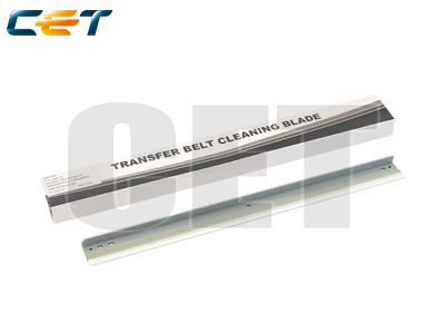 CACE281047