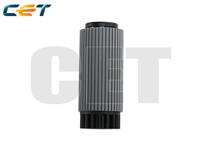 CACE5010