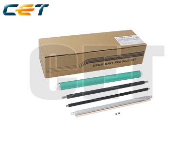 CACE501040