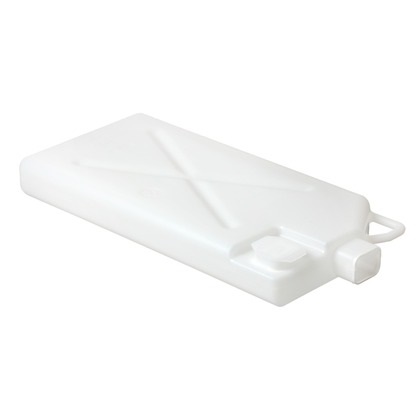 CACE5204