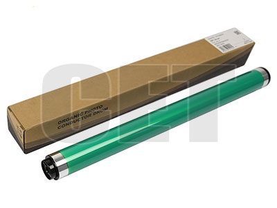 CACE5229