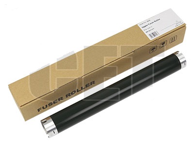 RICE6226