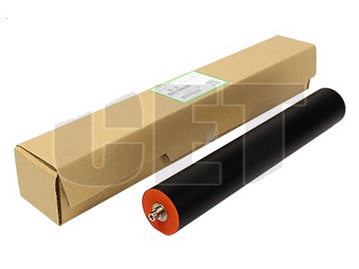 RICE6227