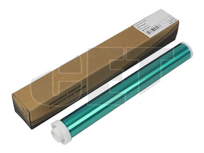 RICE6228