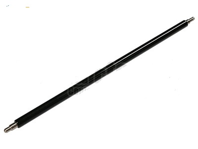 RICE6231