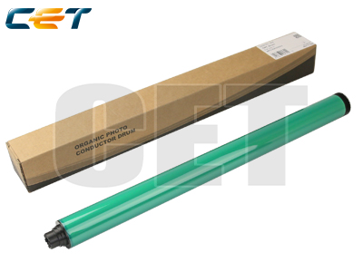 RICE6232