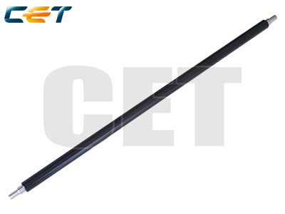 RICE6235