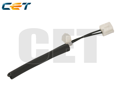 RICE6872